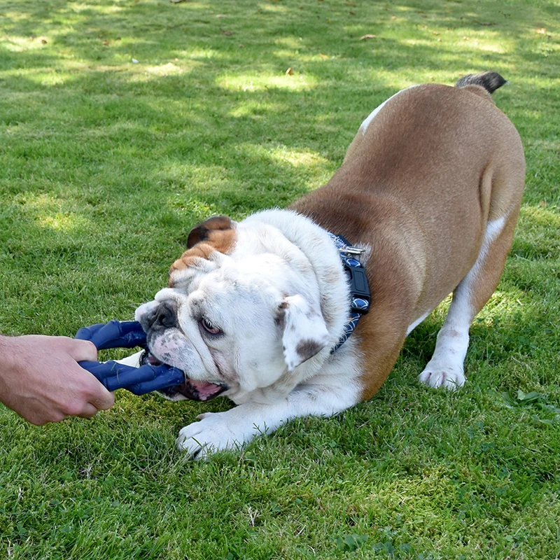 Bamboo: gioco Bobby per cane in gomma