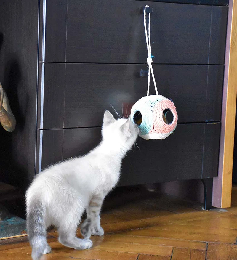 Faccette: gioco per gatto con palla graffiabile Bobby