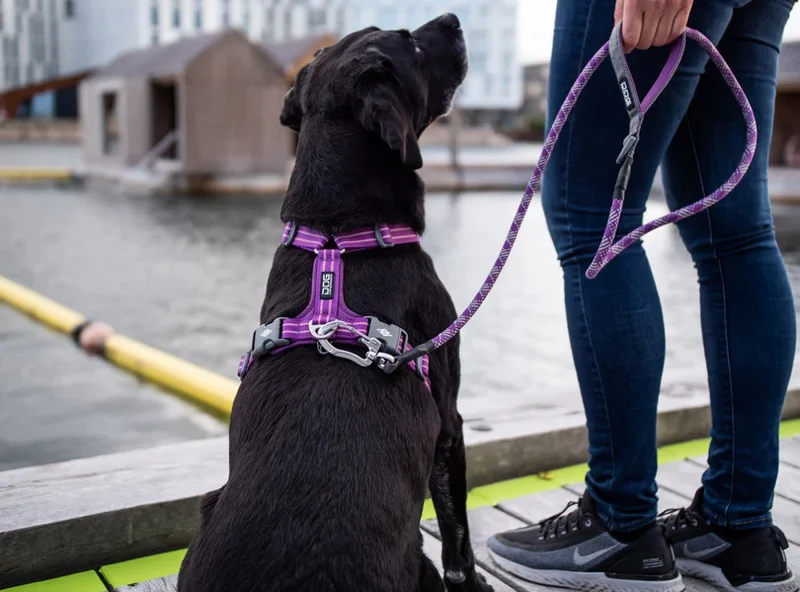 DOG COPENHAGEN - Laisse Urban Rope