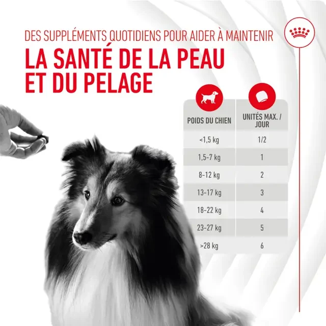 Aliment complémentaire Skin & Coat Chews Adult Dog Supplements chien