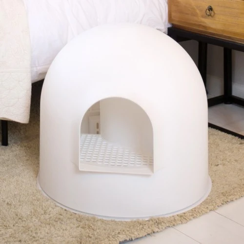 L'Igloo by Pidan - chat