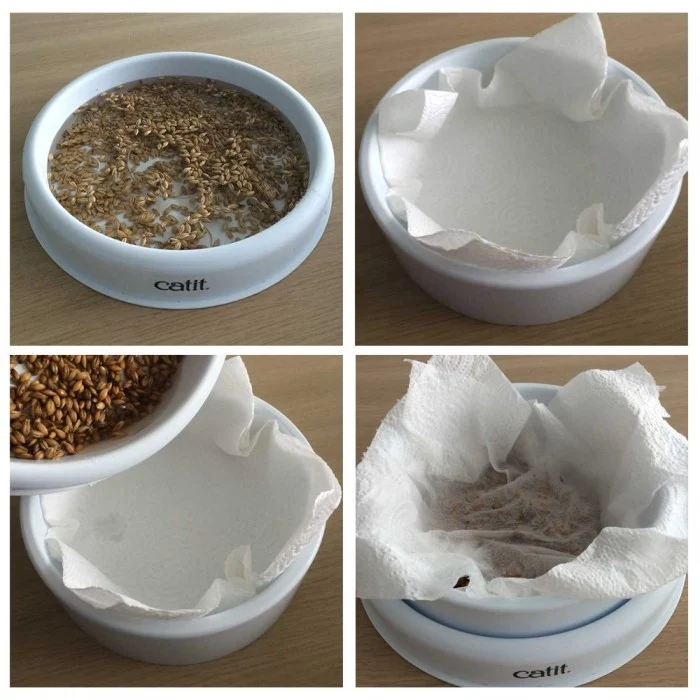 Circuit Bee Play & Garden